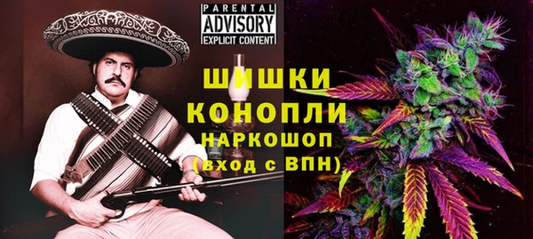 прущий лед Алзамай