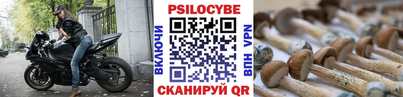 Галлюциногенные грибы Psilocybine cubensis  shop формула  Заволжск  кракен вход 